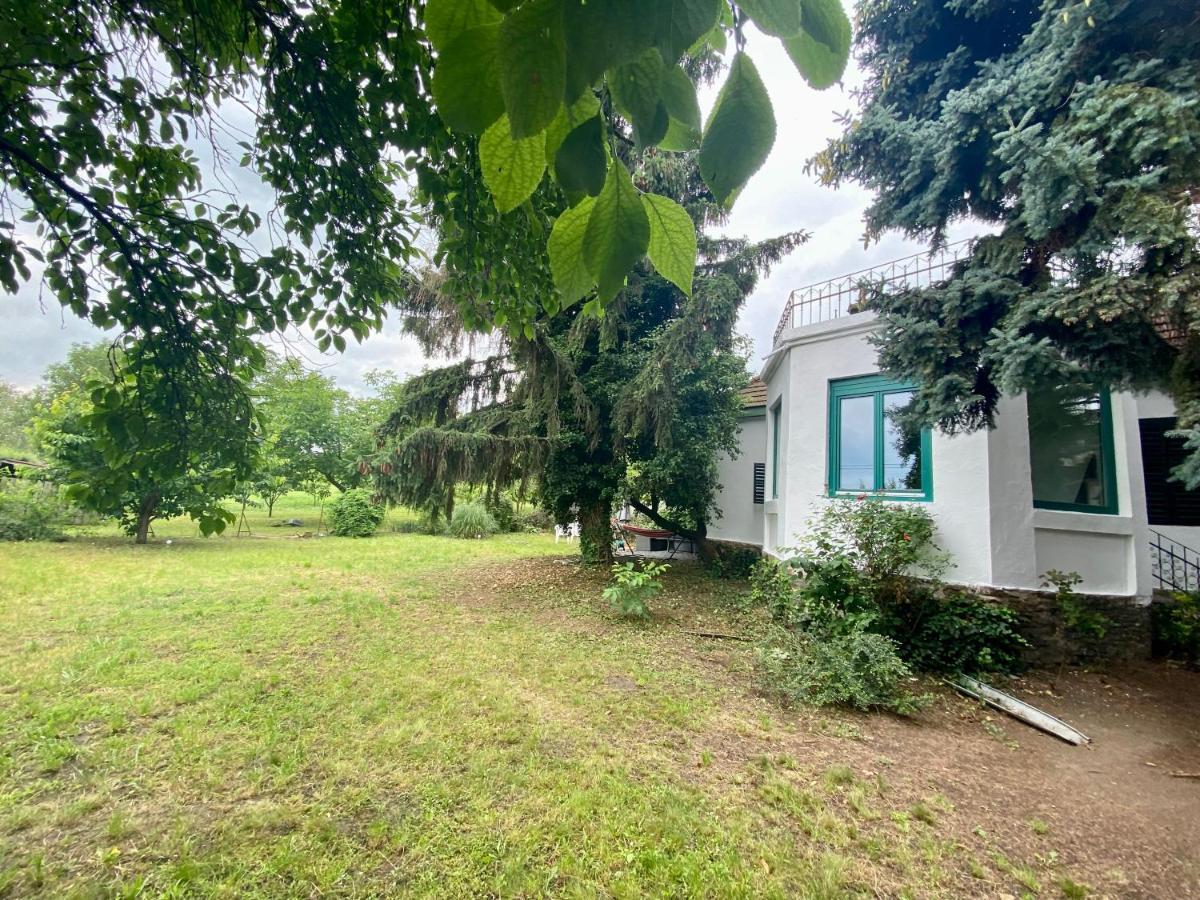 Villa Delibab Badacsonytomaj Dış mekan fotoğraf